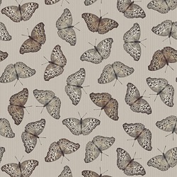 Grey - Butterflies